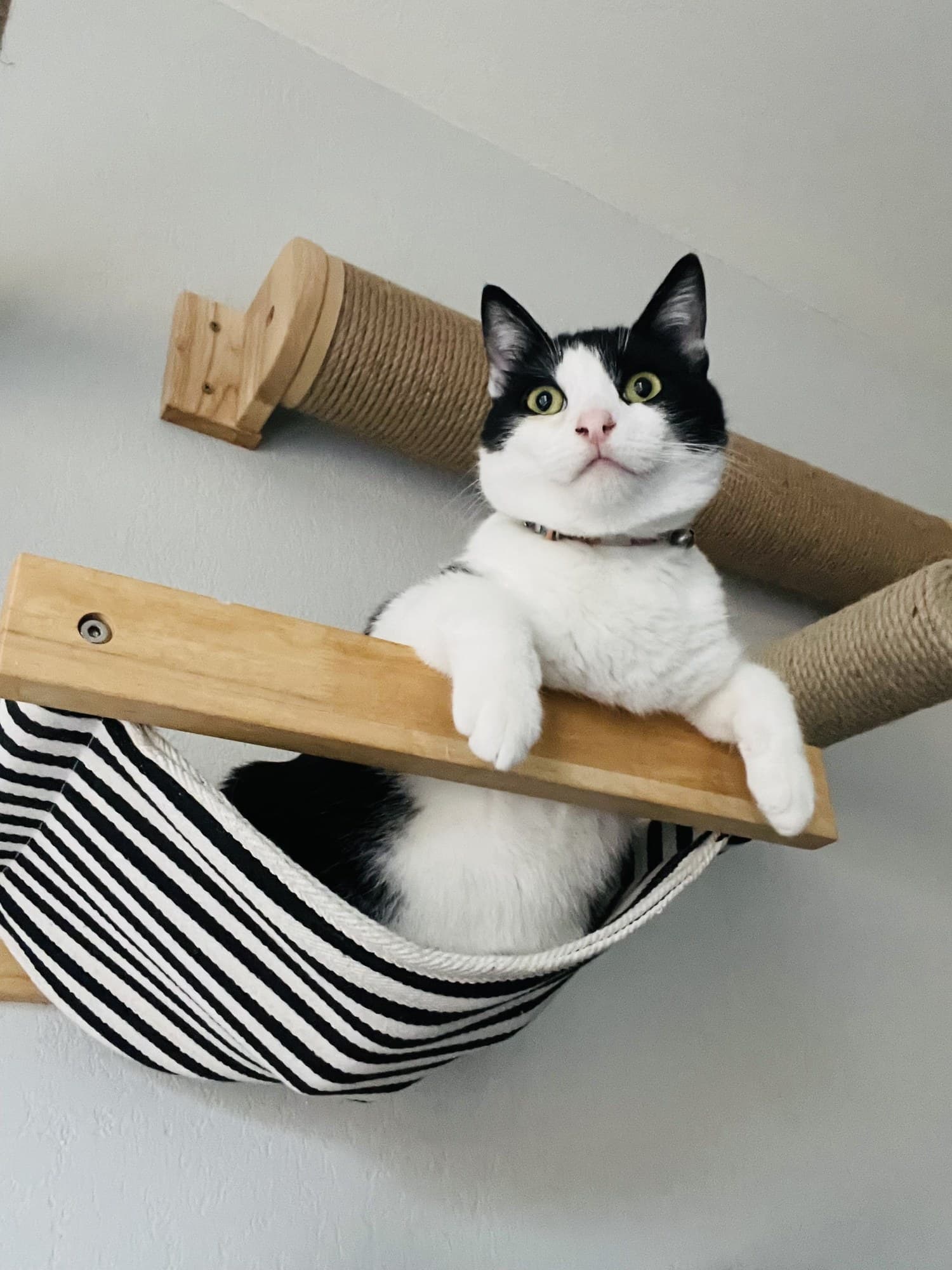 Latest photo of Bertie, Senior Observability Engineer