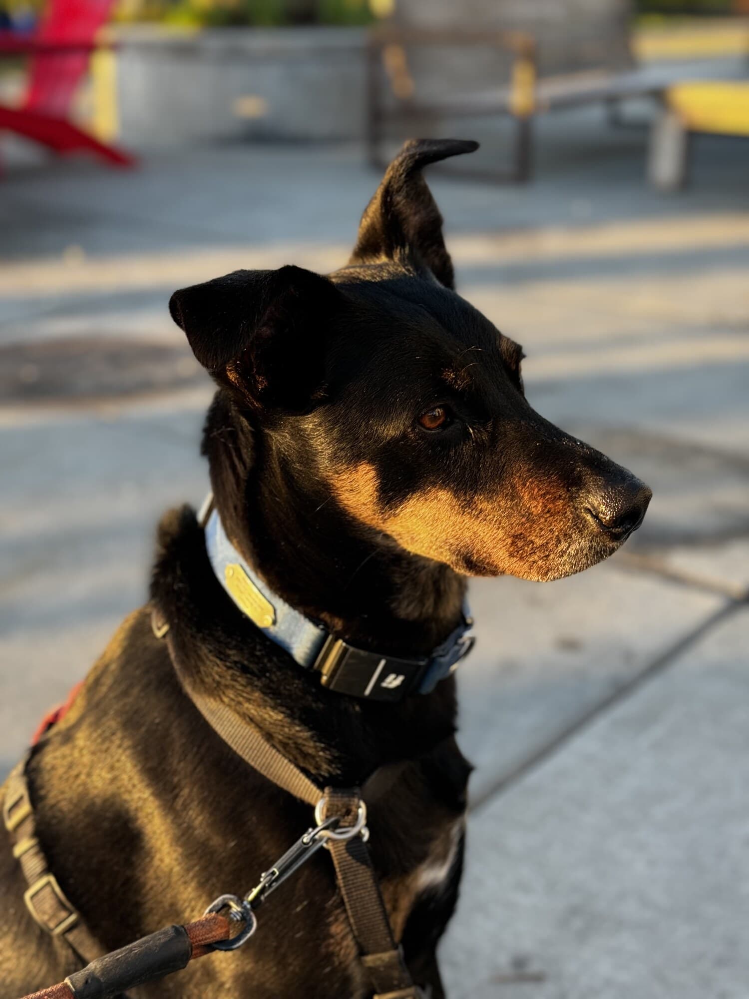 Latest photo of Floh, Head of Anomaly Detection